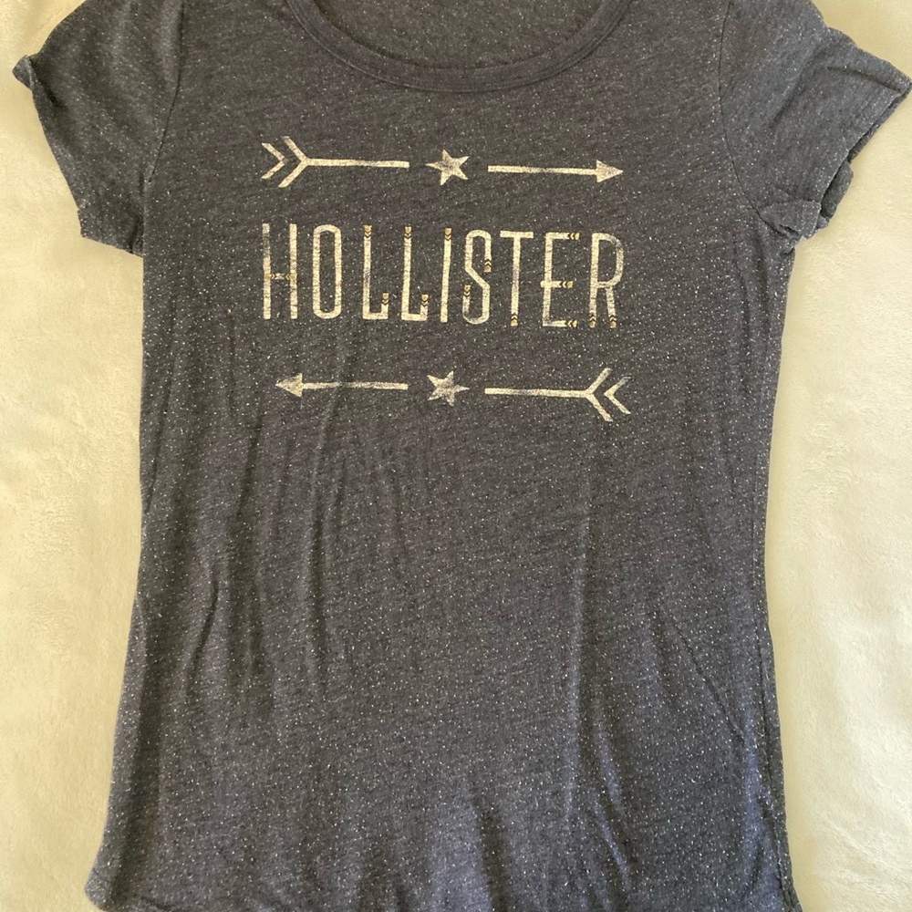Hollister Gray Fitted Short Sleeve T-Shirt